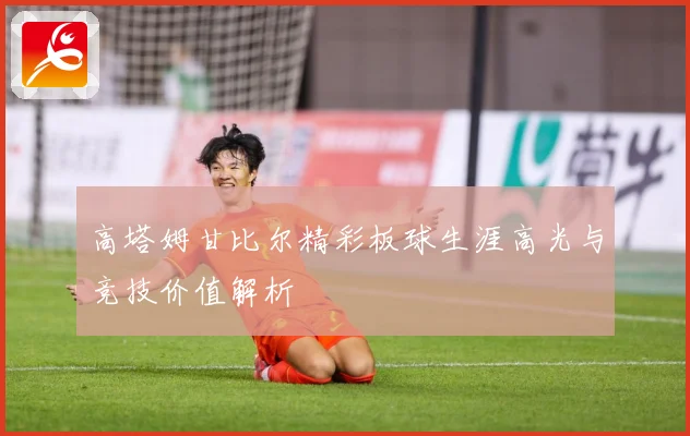 高塔姆甘比尔精彩板球生涯高光与竞技价值解析