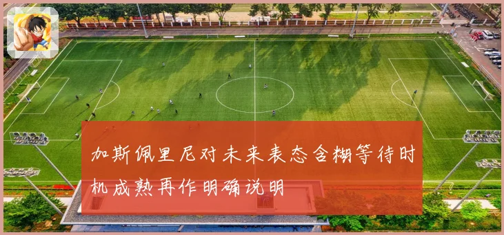 加斯佩里尼对未来表态含糊等待时机成熟再作明确说明